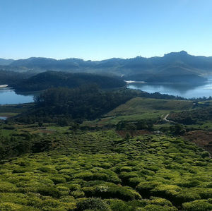 Meet your Posher, Amrita